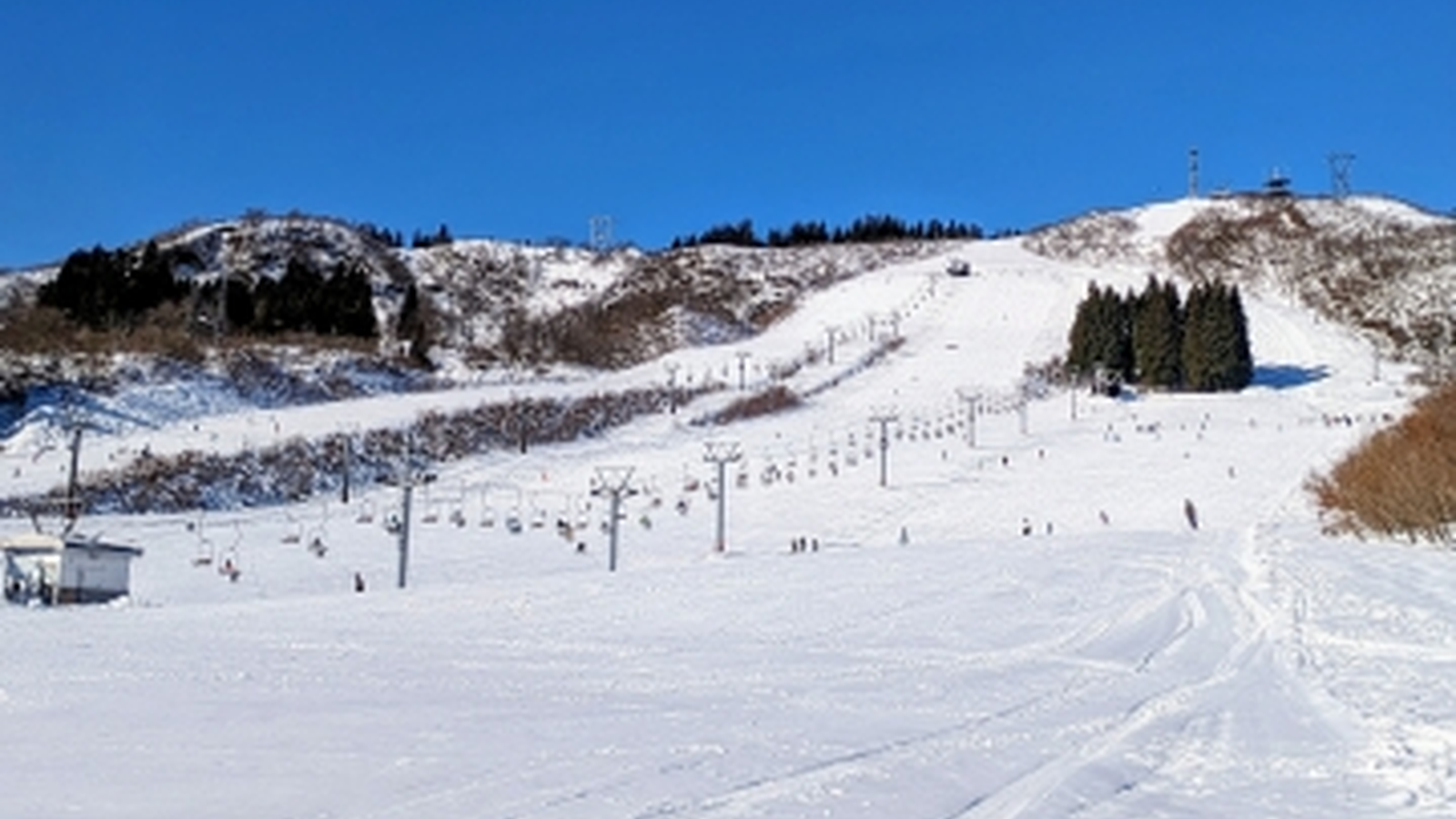 雪に覆われた北海道の斜面の景色