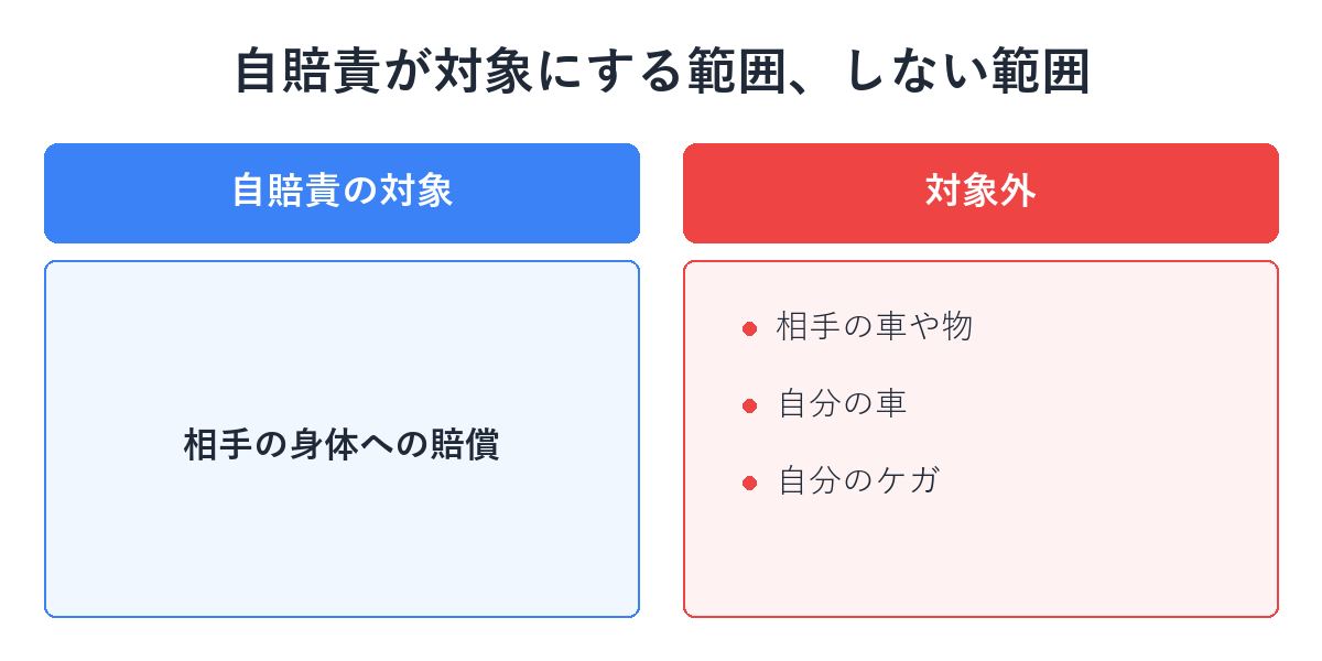 自賠責が対象にする範囲と対象外の範囲を示す図解