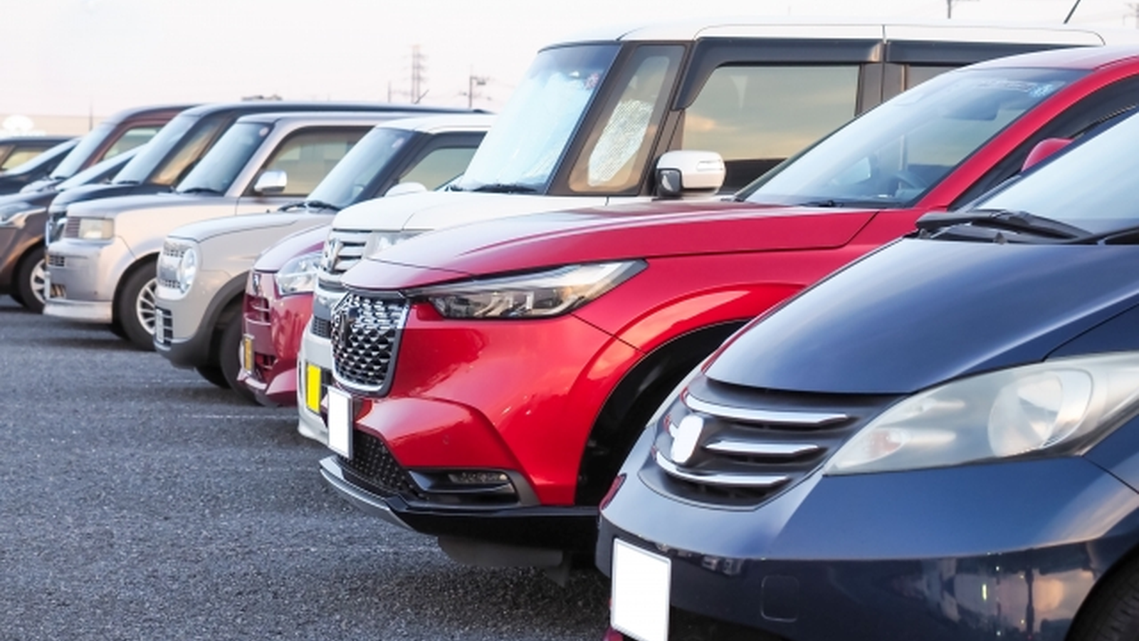 屋外に並ぶ中古車